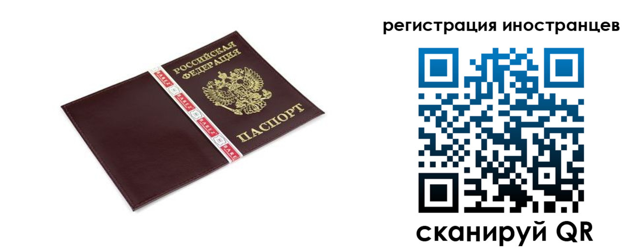 прописка иностранных граждан в Луге